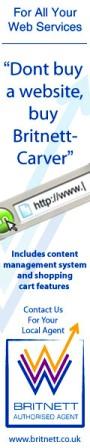 Britnett-Carver Banner Ad
