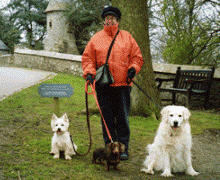 Lady and dogs