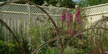 Colourfence Franchise Opportunity