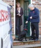 Oscar Franchisee Feeding Labrador