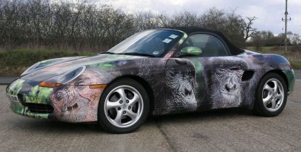 Raccoon Vehicle Wrapping Franchise