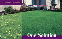 The TruGreen Service and Solution!