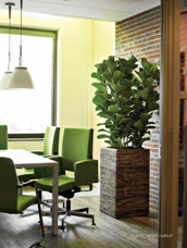 Urban Planters Franchise Opportunity