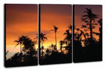 Xpress Art Franchise Opportunity