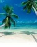 Global Travel Franchise Success Story