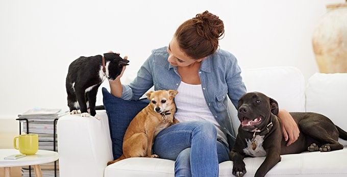Animal Smart Franchise | Pet Care Business