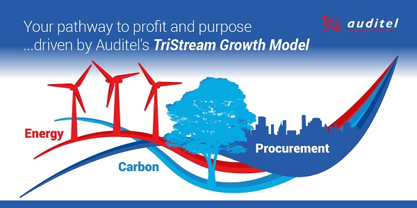 Business Consultancy Franchise | Auditel Franchise