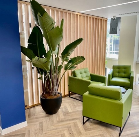 Inleaf Franchise