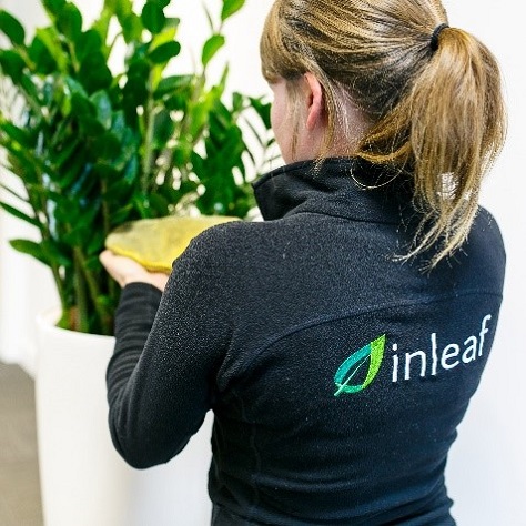Inleaf Franchise | Plant Delivery Business