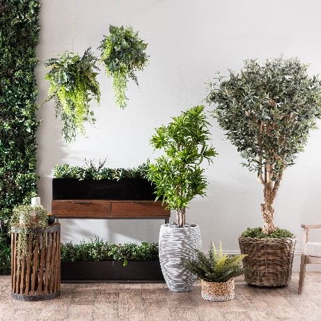 Inleaf Franchise | Plant Delivery Business