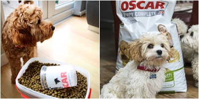 Oscar Pet Foods Franchise - South Derbyshire Resale