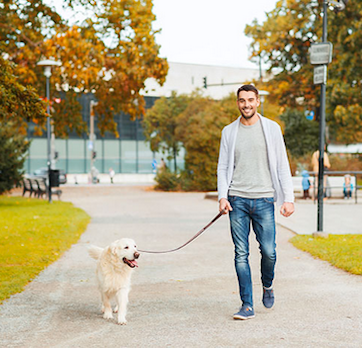 Scamps and Champs Franchise | Pet Care Business Scamps and Champs Franchise | Pet Care Business